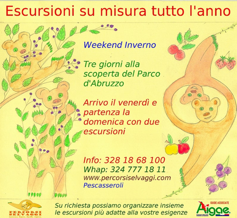 Offerta Weekend d'Inverno a Pescasseroli