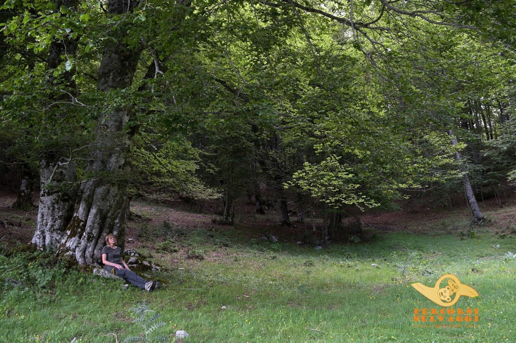 immagini Escursioni estate