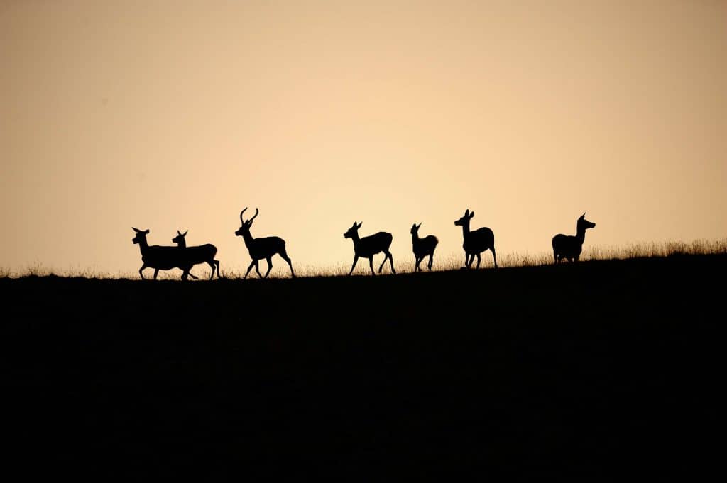 percorsi per trekking nel Parco d'Abruzzo
