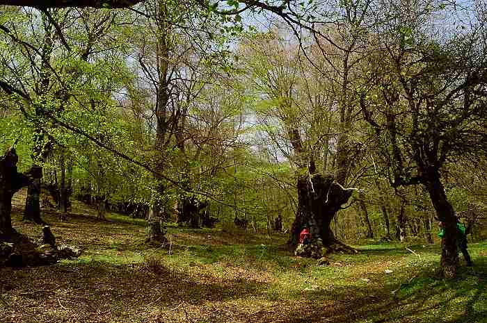 Escursioni su Sentieri facili nel Parco d'Abruzzo