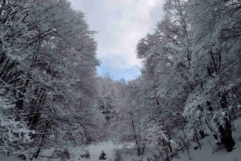 Ciaspolare nel Parco Nazionale d'Abruzzo