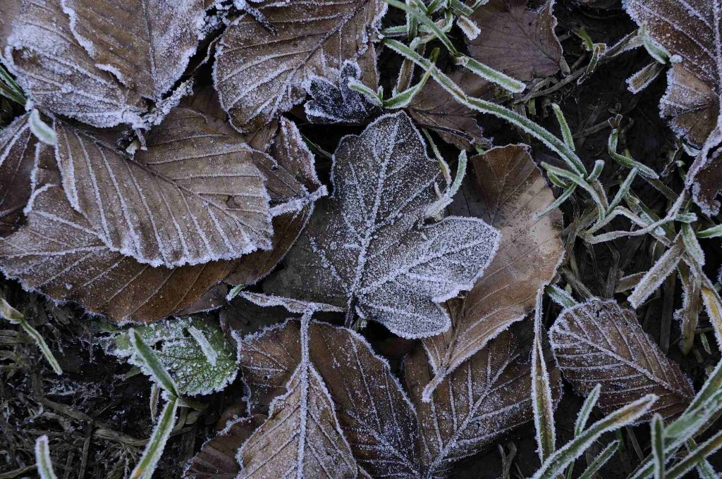Escursioni in Inverno nel Parco d'Abruzzo