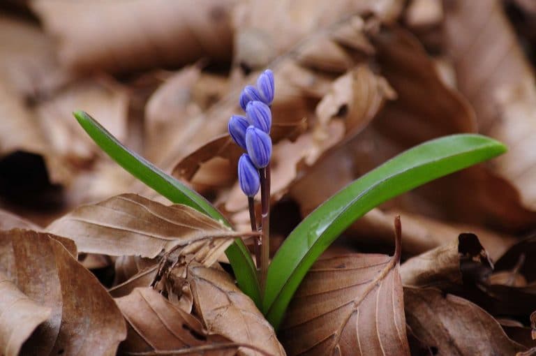 Fotografia naturalistica nel Parco d'Abruzzo