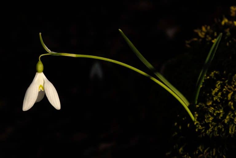 Fotografia naturalistica nel Parco d'Abruzzo