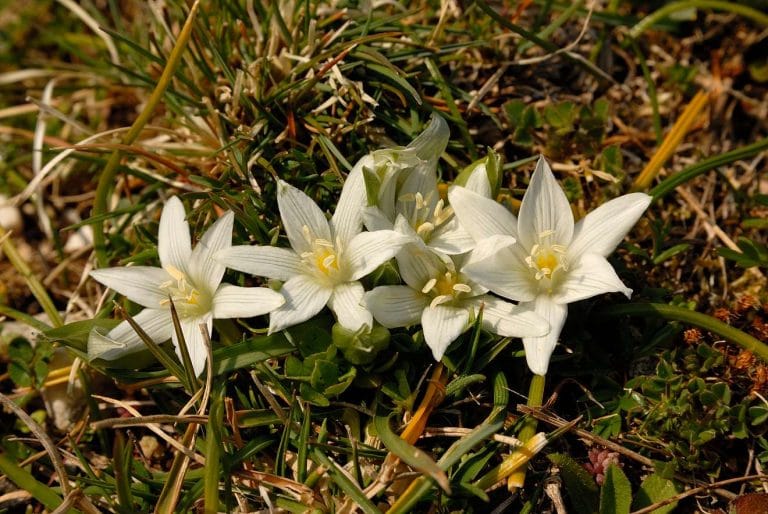 Fotografia naturalistica nel Parco d'Abruzzo
